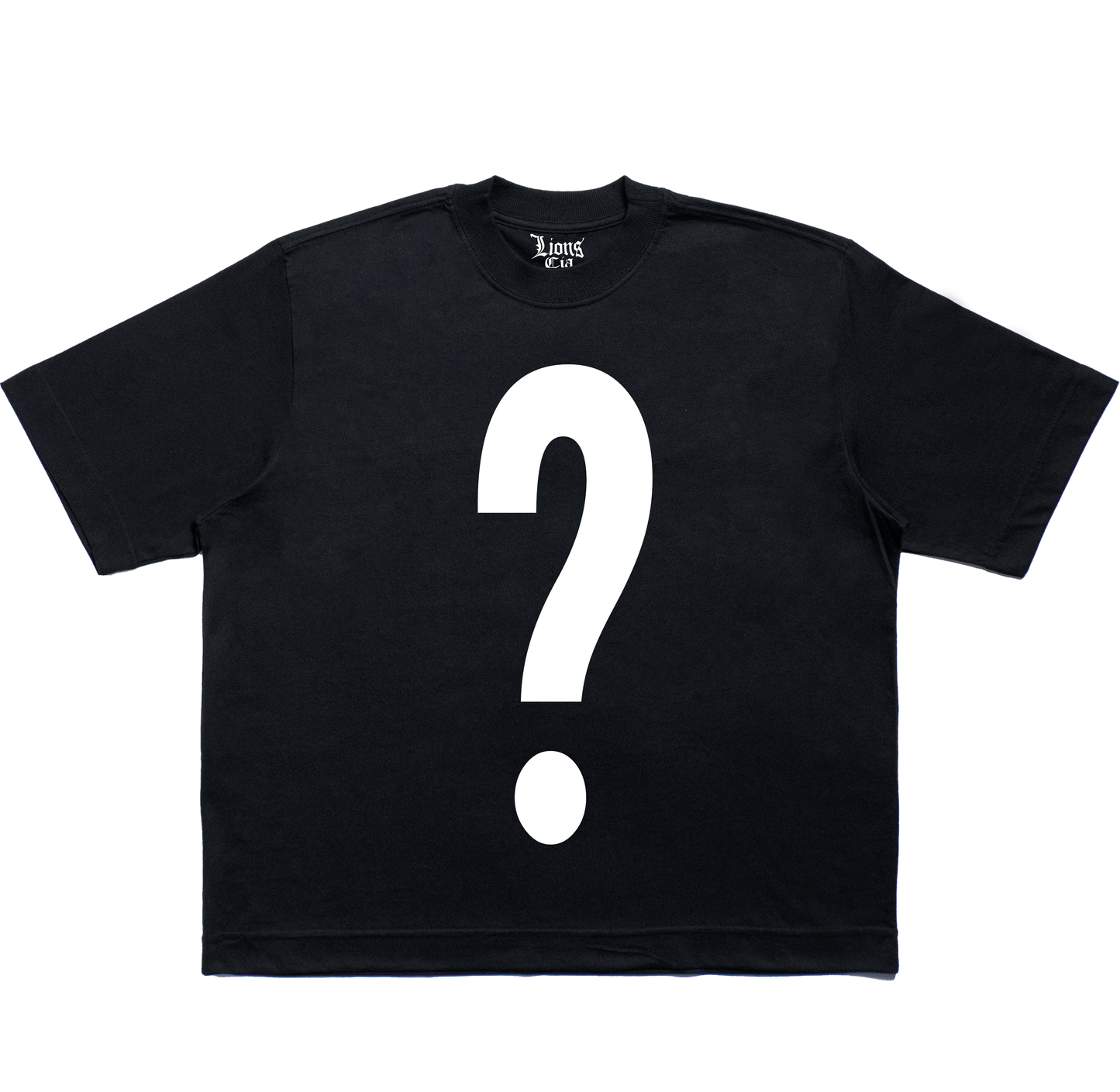 ? CAMISETA 2